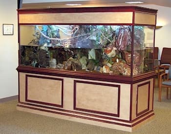 Emory Orthopedics Installation - Healthcare by JAWS Aquariums: Custom aquarium designed to create a calming atmosphere for patients at Emory Orthopedics.