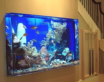 Freestanding Display - Freestanding Aquarium by JAWS Aquariums: Walk-around aquarium serving as an artistic room divider, visible from all sides.