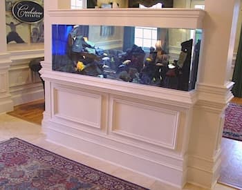 Custom Aquatic Display - Custom Aquarium by JAWS Aquariums: Museum-quality acrylic aquarium with carefully selected fish for compatibility and visual impact.