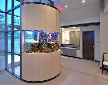 Executive Installation - Corporate by JAWS Aquariums: Professional aquatic display designed to impress clients and create a calming work environment.
